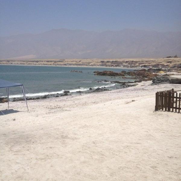 Alto Antofagasta